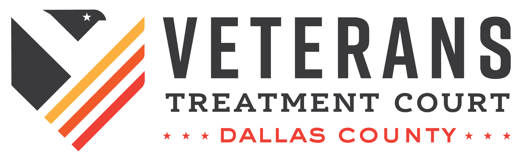 Dallas County Veterans Treatment Court